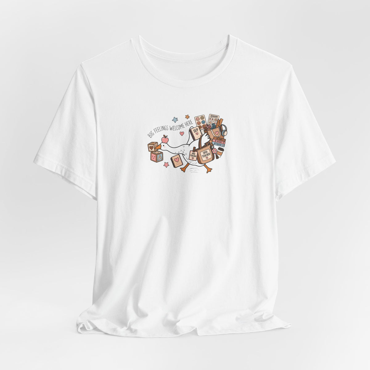 Silly Goose SPED Teacher Tee