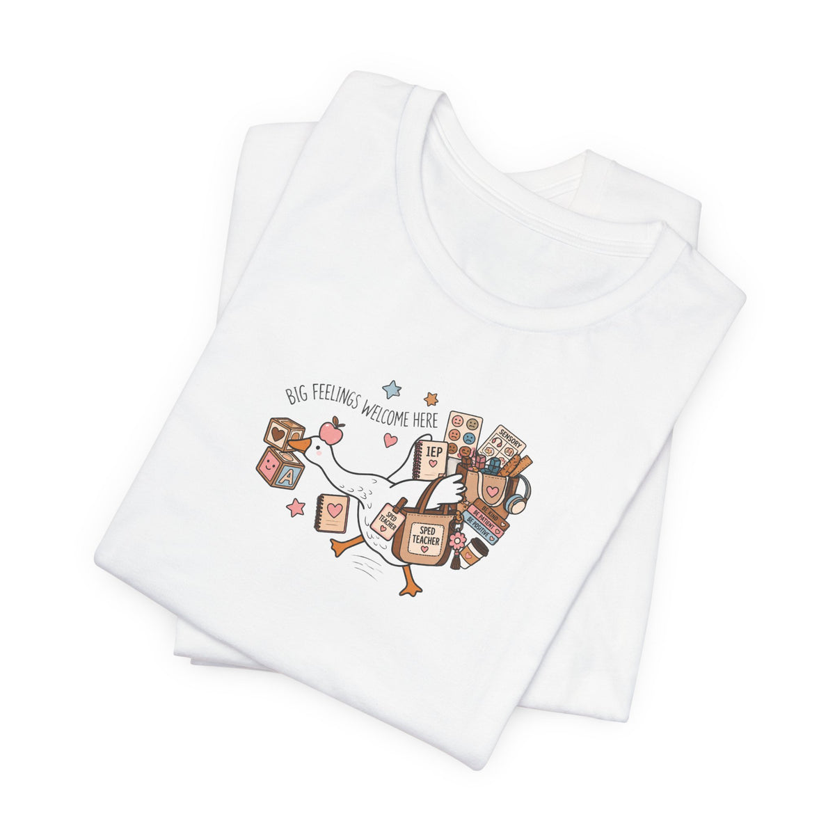 Silly Goose SPED Teacher Tee